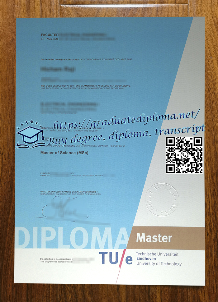 Technische Universiteit Eindhoven degree