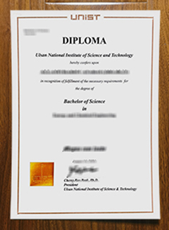 Ulsan National Institute of Science and Technology diploma