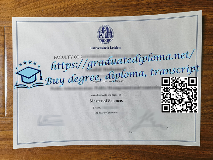 Universiteit Leiden degree