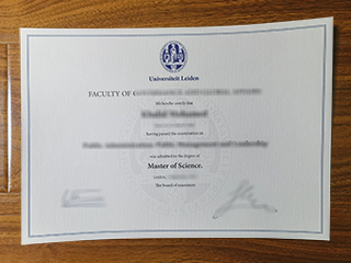 Universiteit Leiden diploma