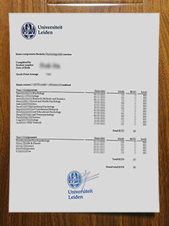 Leiden University transcript