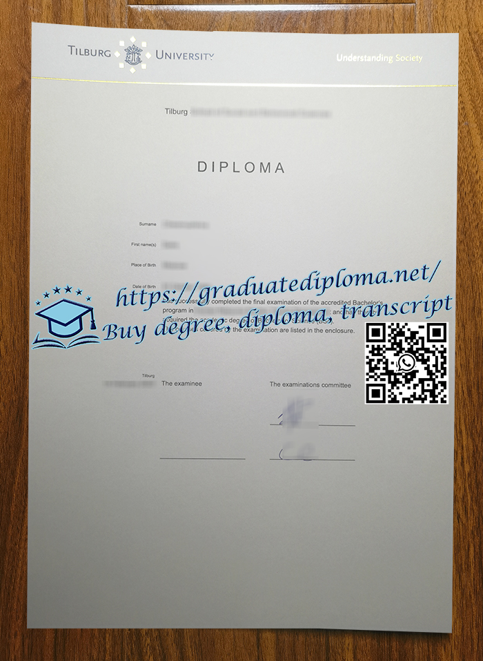 Universiteit van Tilburg degree