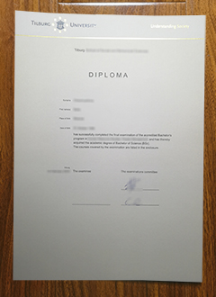 Universiteit van Tilburg diploma