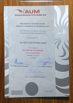 American University of the Middle East diploma