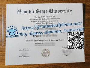 Bemidji-State-University-degree