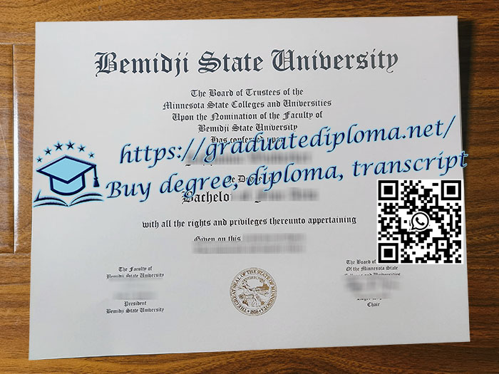 Bemidji State University degree