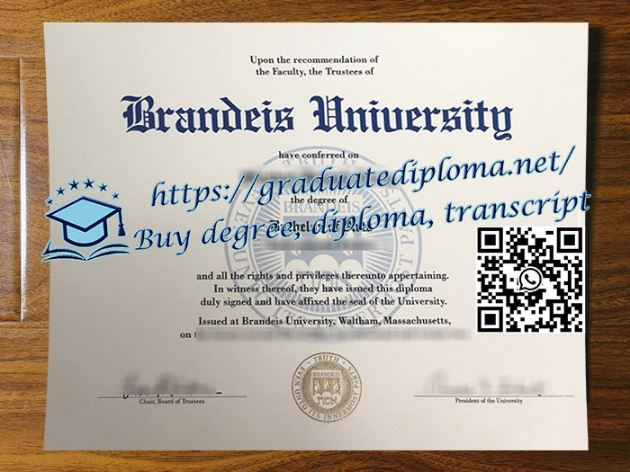 Brandeis University degree