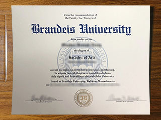 Brandeis University diploma