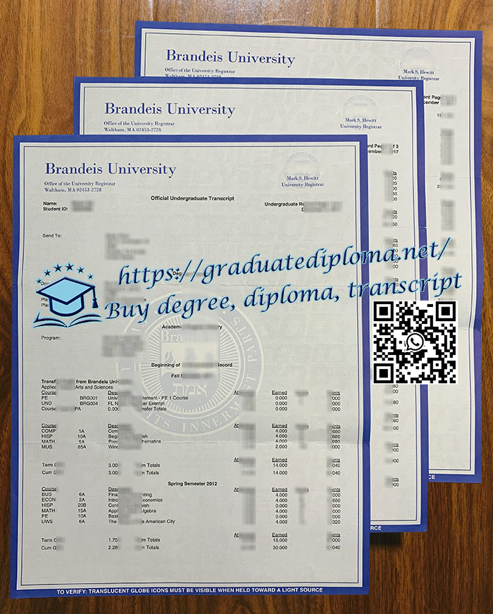 Brandeis University transcript
