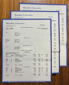 Brandeis University transcript