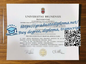 Brown-University-degree