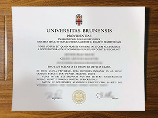 Brown University diploma