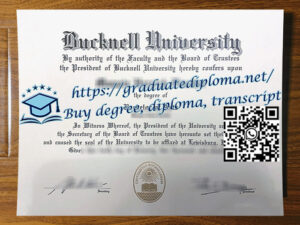 Bucknell-University-degree