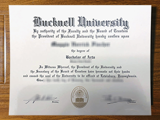 Bucknell University diploma