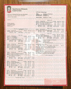 Northern Illinois University transcript