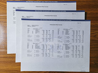 Pennsylvania State University transcript