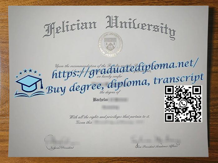 Felician University degree