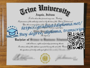 Trine-University-degree
