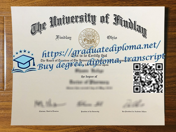 University of Findlay degree
