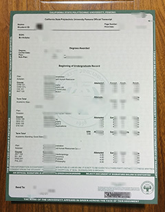 Cal Poly Pomona transcript