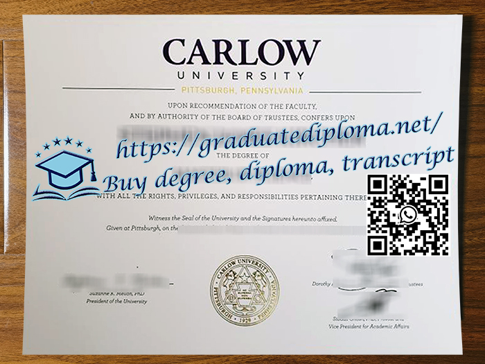 Carlow University degree