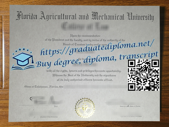 Florida-AM-University-degree