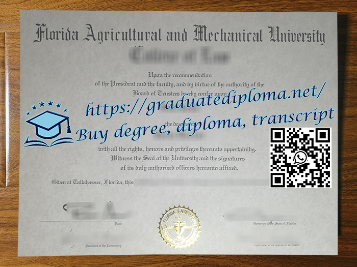 Florida A&M University degree