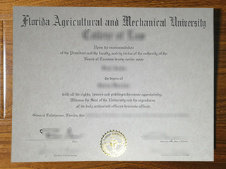Florida A&M University diploma