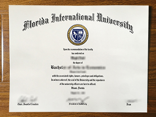 Florida International University diploma