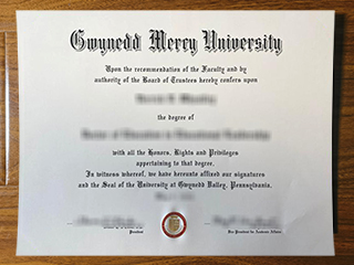 Gwynedd Mercy University diploma