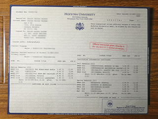 Hofstra University transcript