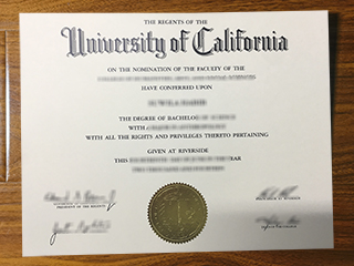 UC Riverside diploma