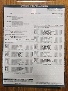 UC Riverside transcript