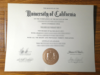 UCLA diploma