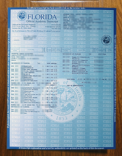 University of Florida transcript