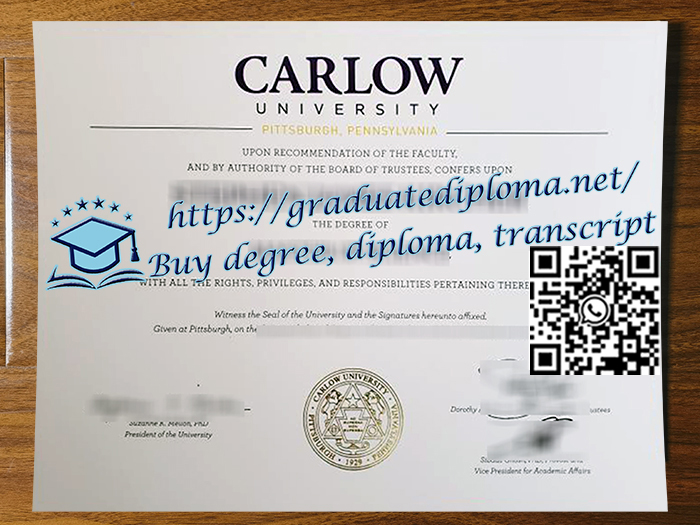 Carlow-University-degree