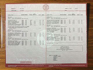 Cornell University transcript