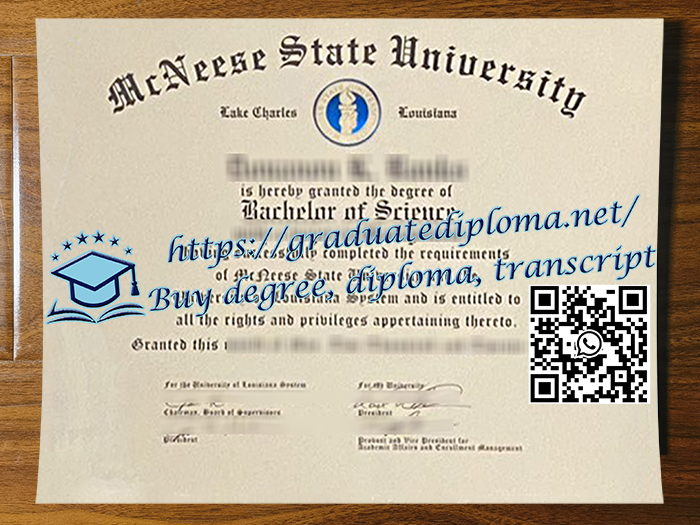 McNeese State University degree