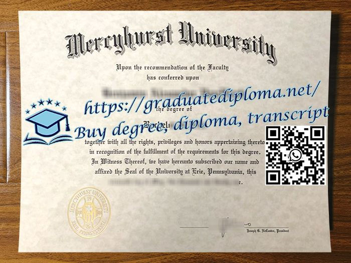 Mercyhurst University degree