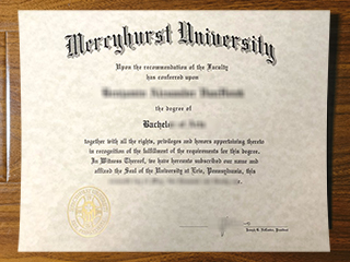 Mercyhurst University diploma