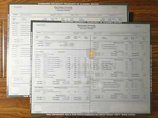 Rasmussen University transcript