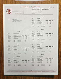 University of Massachusetts Amherst transcript