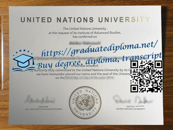 United-Nations-University-degree