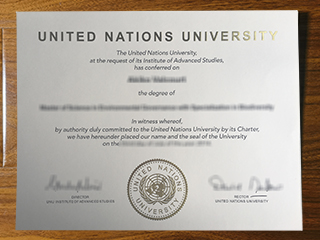 United Nations University diploma