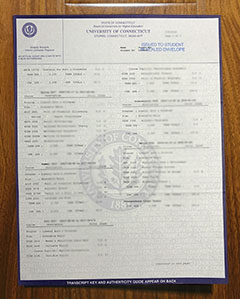 University of Connecticut transcript