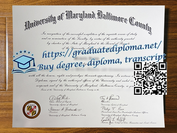 University-of-Maryland-Baltimore-County-degree