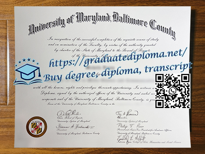 University of Maryland Baltimore County degree