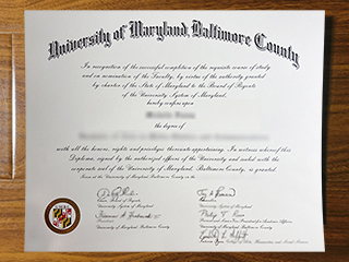 University of Maryland Baltimore County diploma