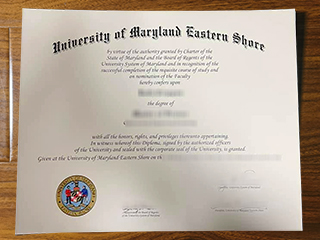 University of Maryland Eastern Shore diploma