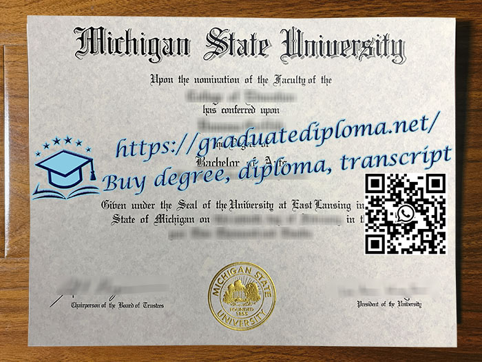 Michigan State University degree
